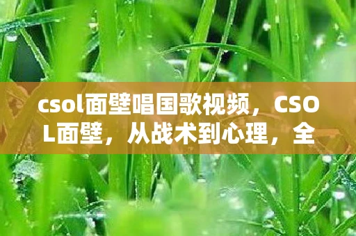 csol面壁唱国歌视频，CSOL面壁，从战术到心理，全面解析这一战术的奥秘