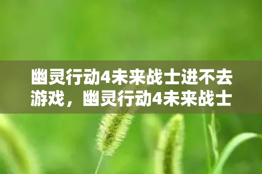 幽灵行动4未来战士进不去游戏，幽灵行动4未来战士无法进入的解决指南