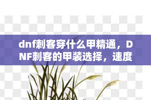 dnf刺客穿什么甲精通，DNF刺客的甲装选择，速度与力量的完美结合