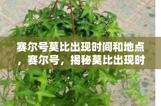 赛尔号莫比出现时间和地点，赛尔号，揭秘莫比出现时间