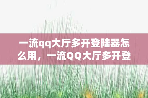 一流qq大厅多开登陆器怎么用，一流QQ大厅多开登陆器，高效便捷，打造你的专属游戏空间