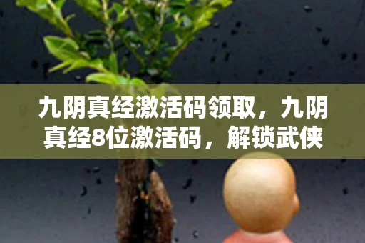 九阴真经激活码领取，九阴真经8位激活码，解锁武侠世界的神秘钥匙