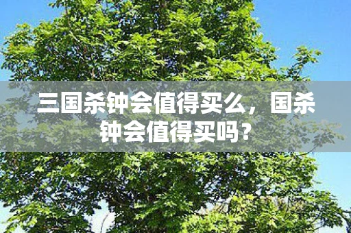 三国杀钟会值得买么，国杀钟会值得买吗？