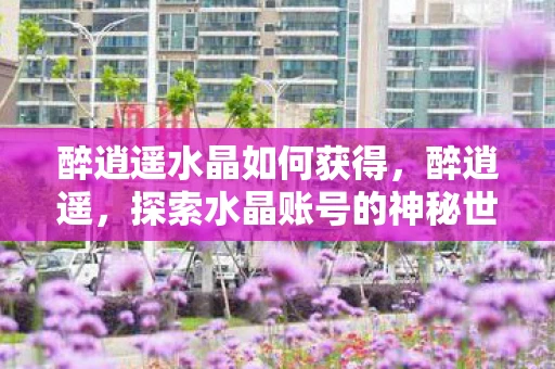 醉逍遥水晶如何获得，醉逍遥，探索水晶账号的神秘世界