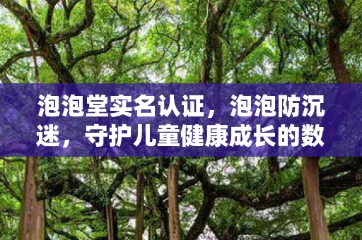 泡泡堂实名认证，泡泡防沉迷，守护儿童健康成长的数字盾牌