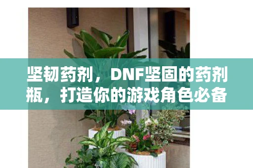 坚韧药剂，DNF坚固的药剂瓶，打造你的游戏角色必备神器