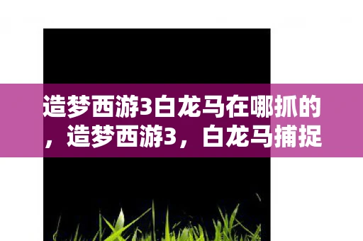 造梦西游3白龙马在哪抓的，造梦西游3，白龙马捕捉攻略