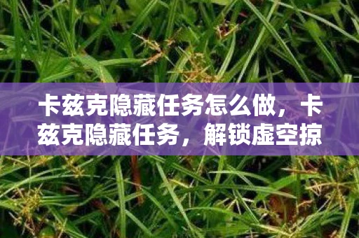 卡兹克隐藏任务怎么做，卡兹克隐藏任务，解锁虚空掠夺者的传奇之旅