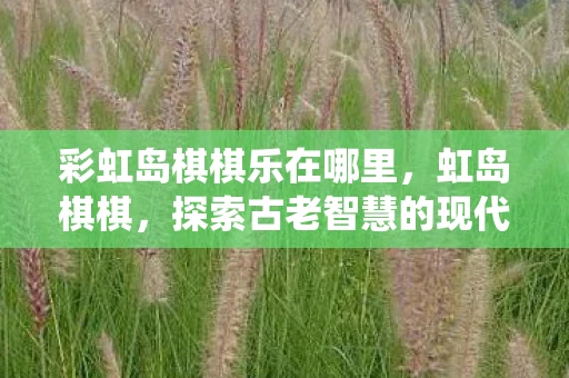彩虹岛棋棋乐在哪里，虹岛棋棋，探索古老智慧的现代演绎