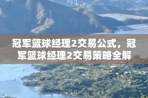 冠军篮球经理2交易公式，冠军篮球经理2交易策略全解析