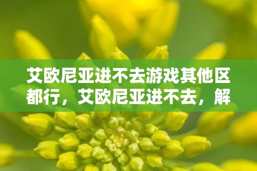艾欧尼亚进不去游戏其他区都行，艾欧尼亚进不去，解析与解决方案