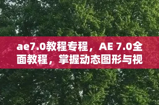 ae7.0教程专程，AE 7.0全面教程，掌握动态图形与视觉特效的必备指南