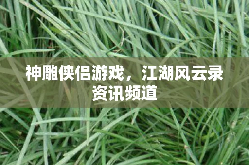 江湖风云录资讯频道图片