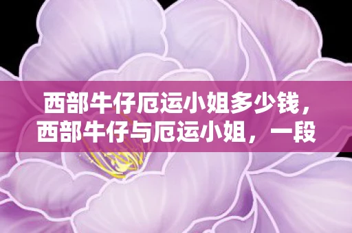西部牛仔厄运小姐多少钱，西部牛仔与厄运小姐，一段传奇的交织