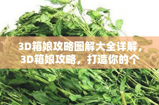 3D箱娘攻略图解大全详解，3D箱娘攻略，打造你的个性化虚拟偶像