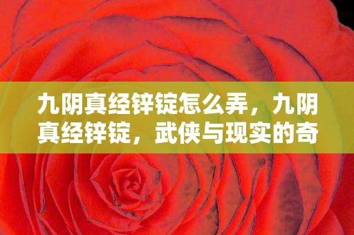 九阴真经锌锭怎么弄，九阴真经锌锭，武侠与现实的奇妙碰撞