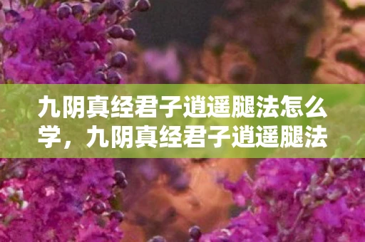 九阴真经君子逍遥腿法怎么学，九阴真经君子逍遥腿法，武侠世界中的优雅杀招