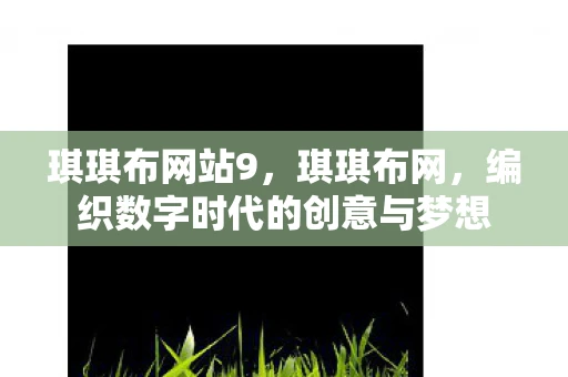 琪琪布网站9，琪琪布网，编织数字时代的创意与梦想