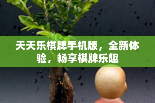 天天乐棋牌手机版图片