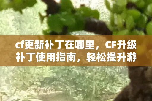 cf更新补丁在哪里，CF升级补丁使用指南，轻松提升游戏体验