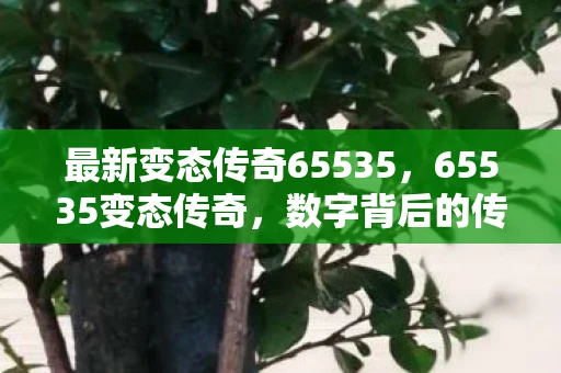 最新变态传奇65535，65535变态传奇，数字背后的传奇故事