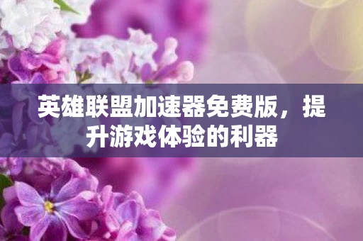 英雄联盟加速器免费版图片