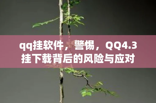 qq挂软件，警惕，QQ4.3挂下载背后的风险与应对