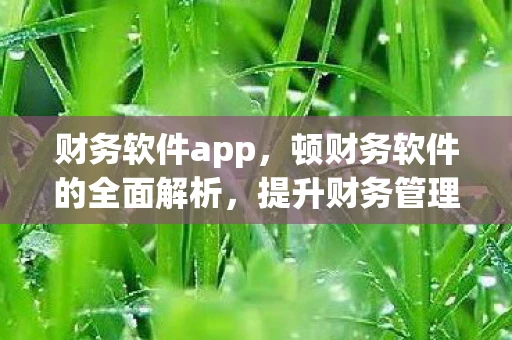 财务软件app，顿财务软件的全面解析，提升财务管理效率的关键工具