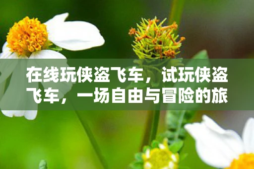 在线玩侠盗飞车，试玩侠盗飞车，一场自由与冒险的旅程