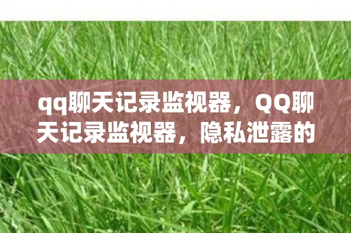 qq聊天记录监视器，QQ聊天记录监视器，隐私泄露的隐形威胁