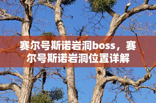 赛尔号斯诺岩洞boss，赛尔号斯诺岩洞位置详解