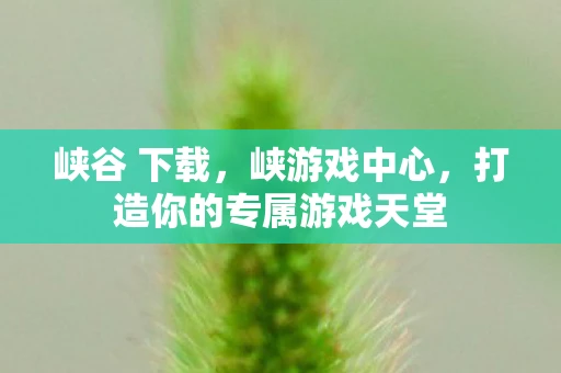 峡谷 下载，峡游戏中心，打造你的专属游戏天堂