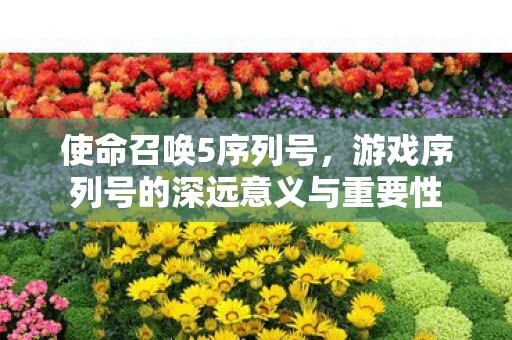 游戏序列号的深远意义与重要性图片