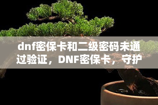 dnf密保卡和二级密码未通过验证，DNF密保卡，守护账号安全，打造安全游戏环境
