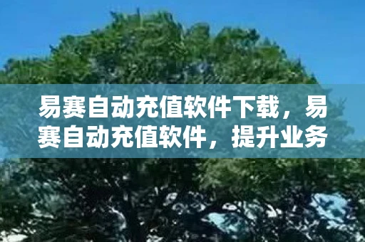 易赛自动充值软件下载，易赛自动充值软件，提升业务效率，优化客户体验