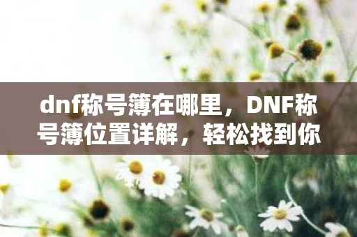 dnf称号簿在哪里，DNF称号簿位置详解，轻松找到你的荣耀证明