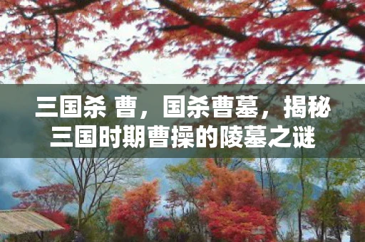 三国杀 曹，国杀曹墓，揭秘三国时期曹操的陵墓之谜