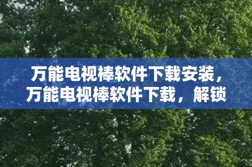 万能电视棒软件下载安装，万能电视棒软件下载，解锁无限娱乐的钥匙