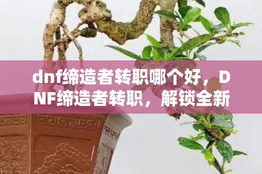 dnf缔造者转职哪个好，DNF缔造者转职，解锁全新职业，探索无限可能