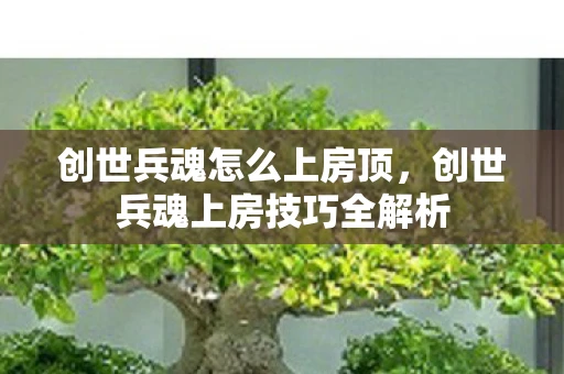 创世兵魂怎么上房顶，创世兵魂上房技巧全解析