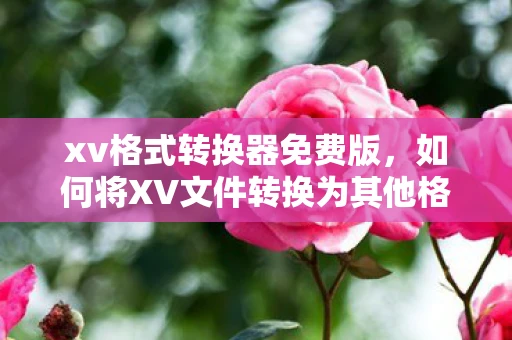 xv格式转换器免费版，如何将XV文件转换为其他格式，全面指南
