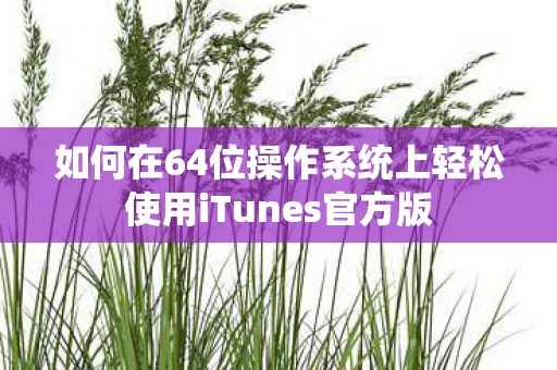 如何在64位操作系统上轻松使用iTunes官方版图片