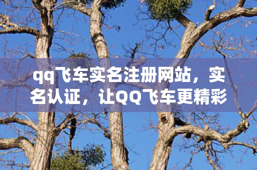 qq飞车实名注册网站，实名认证，让QQ飞车更精彩