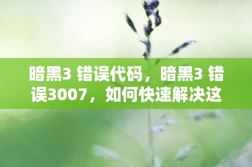 暗黑3 错误代码，暗黑3 错误3007，如何快速解决这个常见问题