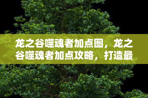 龙之谷噬魂者加点图，龙之谷噬魂者加点攻略，打造最强输出角色