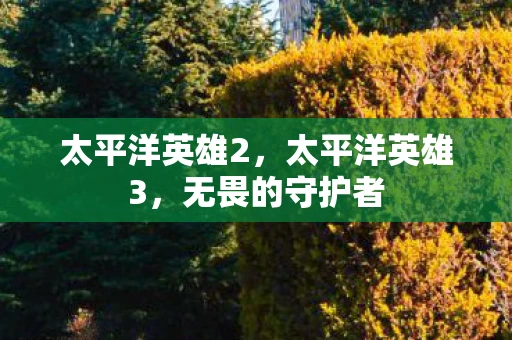 太平洋英雄2，太平洋英雄3，无畏的守护者