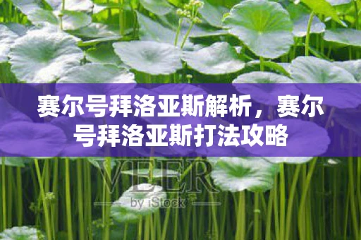赛尔号拜洛亚斯解析，赛尔号拜洛亚斯打法攻略
