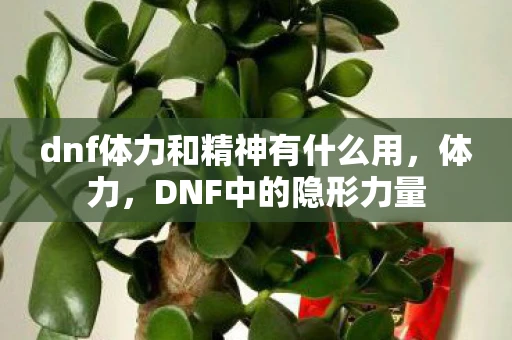dnf体力和精神有什么用，体力，DNF中的隐形力量
