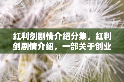 红利剑剧情介绍分集，红利剑剧情介绍，一部关于创业与梦想的励志剧