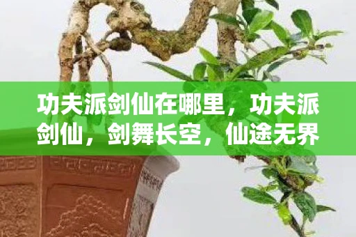 功夫派剑仙在哪里，功夫派剑仙，剑舞长空，仙途无界